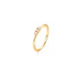 DOURADO
