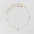 DOURADO