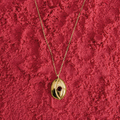 DOURADO